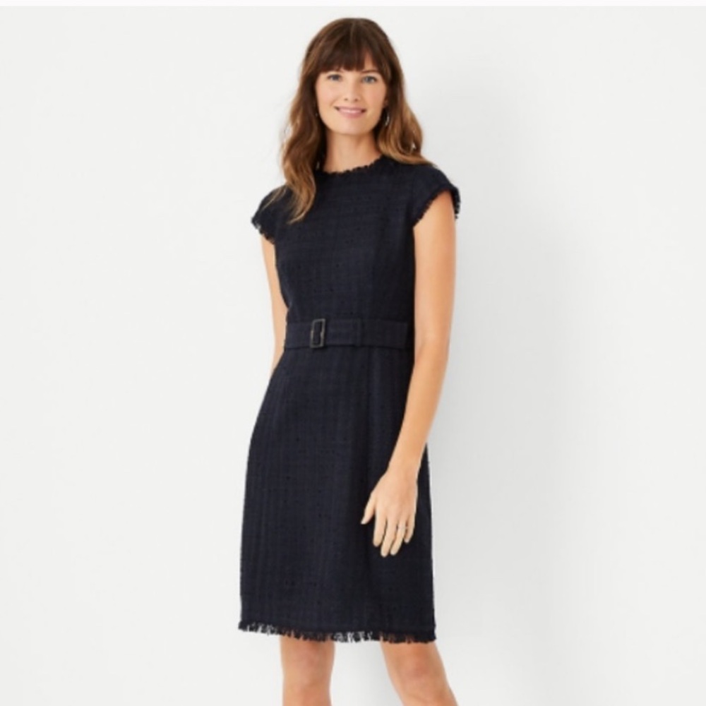 Ann Taylor Size 2 Navy Tweed Dress